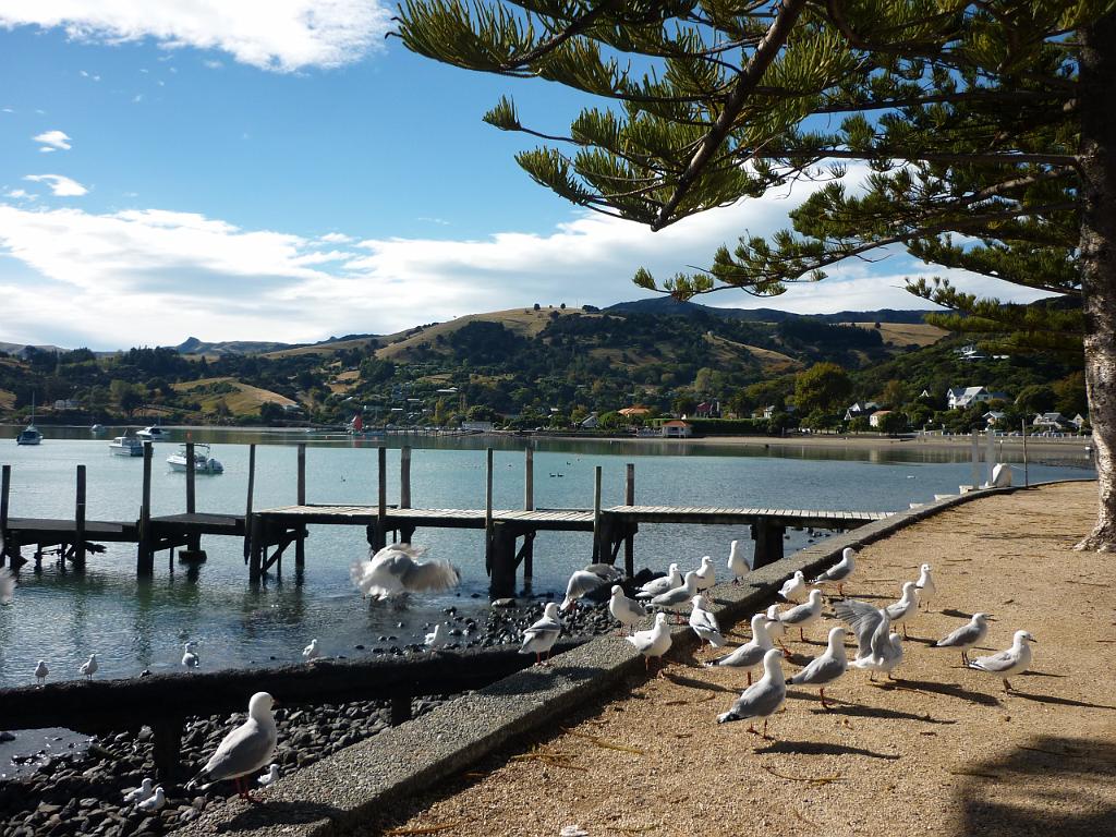 New_Zealand (678).JPG